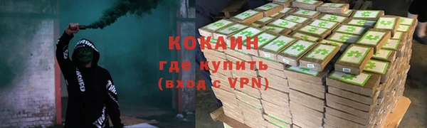 ПСИЛОЦИБИНОВЫЕ ГРИБЫ Алексеевка