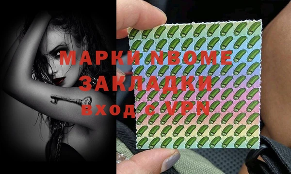 шишки Аркадак