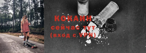 шишки Аркадак