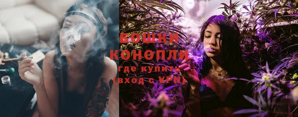 шишки Аркадак
