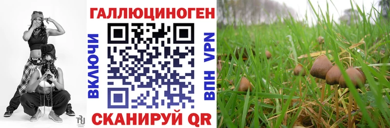 Галлюциногенные грибы Magic Shrooms  продажа наркотиков  Аткарск 